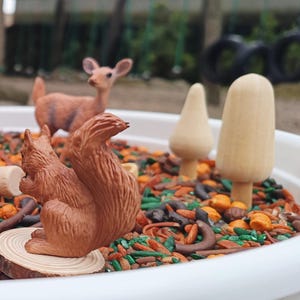 Op de afbeelding: Een bruin eekhoornbeeldje met een gekrulde staart zit op een houten stam in een witte kom gevuld met bruin, oranje en groen sensorisch materiaal. Een bruin hertbeeldje en twee houten paddenstoelbeeldjes zijn ook zichtbaar in de kom.
