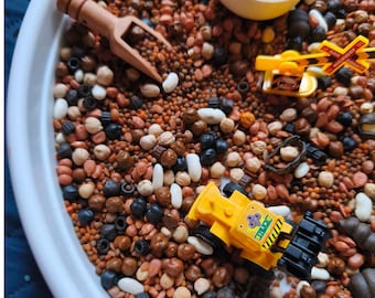 Konstruktions-Kit für Sinnesorgane: Montessori Fine Motor Play