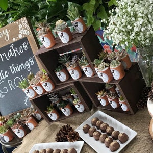 May include: Small succulent plants in terracotta pots, displayed on dark wooden shelves. Each pot features a white label with a black graphic. A chalkboard sign reads "Joy makes little things GROW". The display is set up for an event.