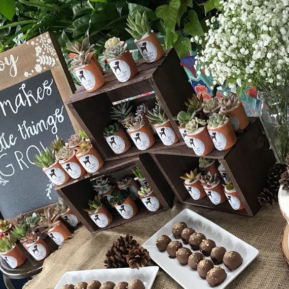 Rustic Wooden Crates, Wedding Favor Display, Cupcake Stand (Set of 6)