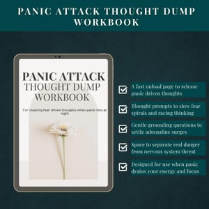 Resetkit paniekaanval - Hulpprogramma's paniekaanval - Onmiddellijke verlichting van angst - MP3-audio en pdf-werkboek - resetten van het zenuwstelsel afbeelding 7