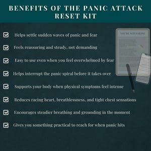 Resetkit paniekaanval - Hulpprogramma's paniekaanval - Onmiddellijke verlichting van angst - MP3-audio en pdf-werkboek - resetten van het zenuwstelsel afbeelding 5