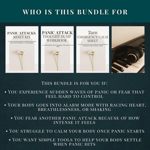 Resetkit paniekaanval - Hulpprogramma's paniekaanval - Onmiddellijke verlichting van angst - MP3-audio en pdf-werkboek - resetten van het zenuwstelsel afbeelding 3