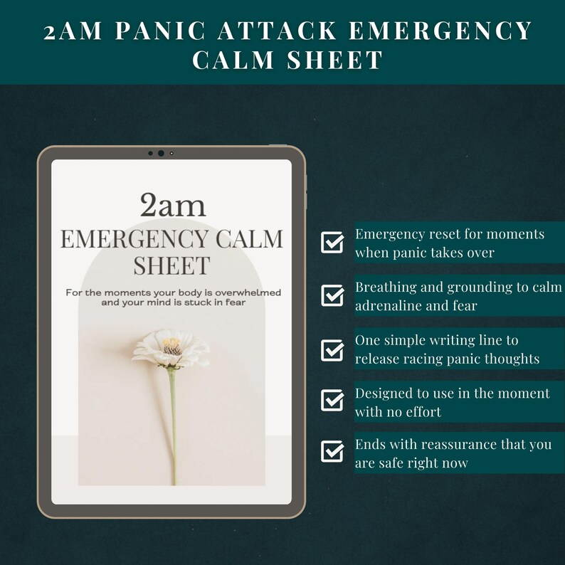 Resetkit paniekaanval - Hulpprogramma's paniekaanval - Onmiddellijke verlichting van angst - MP3-audio en pdf-werkboek - resetten van het zenuwstelsel afbeelding 8