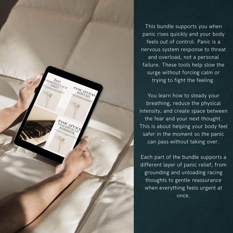 Resetkit paniekaanval - Hulpprogramma's paniekaanval - Onmiddellijke verlichting van angst - MP3-audio en pdf-werkboek - resetten van het zenuwstelsel afbeelding 2