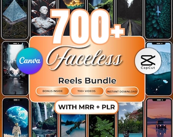 Bundel met 700+ anonieme virale video's met master-resellrechten | Digitale inhoud in korte vorm voor TikTok Reels Shorts | Pakket downloaden en doorverkopen