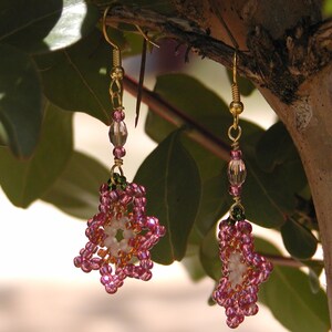 Earrings Pretty in Pink