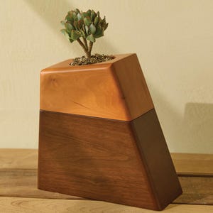 May include: A two-toned wooden planter with a geometric design. The top section is light brown, and the bottom is dark brown. A small succulent plant sits in the top opening, filled with soil. The planter is on a wooden surface.