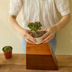 May include: A person placing a small potted succulent plant on a wooden tiered stand. The stand is made of two shades of brown wood. The plant is in a white ceramic pot.