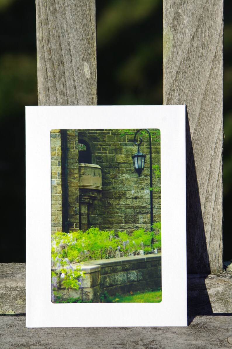 Wellesley College photo cards with blank interior Etsy