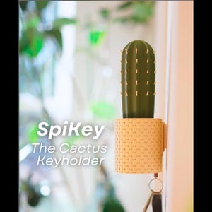 Spikey, cactus sleutelhouder, sleutelhouder muurbevestiging, sleutelhouder, sleutelopslag, leuke sleutelhouder, haldecor, housewarmingcadeau, woondecoratie