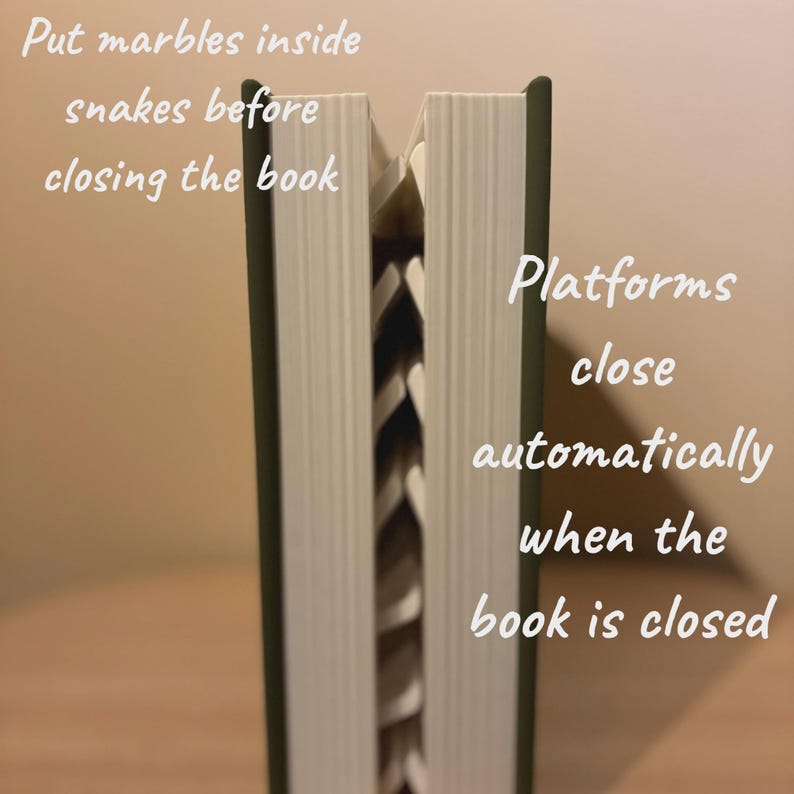 以下が含まれることがあります： 白いページと緑色の背表紙を持つ、部分的に開かれた本。ページには「Put marbles inside snakes before closing the book」と「Platforms close automatically when the book is closed」と書かれています。