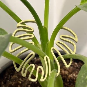 Può includere: Un supporto per piante dorato a forma di foglia circonda un gambo di pianta verde. Il supporto ha un design stilizzato e aperto, che ricorda una foglia di Monstera. La pianta è in un vaso marrone, con sfondo bianco.