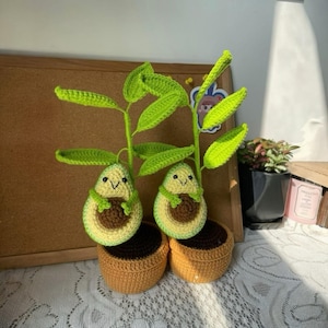 Cute Avocado Crochet Plant Pot – Amigurumi Desk Decor – Handmade Plush Avocado Gift for Friends & Family
