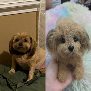 Custom Crochet Dog, Custom Stuffed Dog, Crochet Pet Memorial, Look Alike Dog, Personalized Dog, Gift for Dog Lovers, Custom Stuffed Animal
