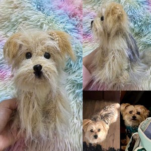 May include: A close-up of a crocheted Yorkshire Terrier dog toy. The toy is light brown with black eyes and a black nose. The toy is sitting on a fluffy pink and blue blanket.