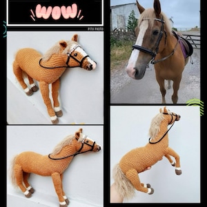 Custom Dog Plush, Custom Stuffed Dog, Custom Crochet Dog, Custom Stuffed Animal, Personalized Pet Gift, Pet Memorial, Pet Stuffed Animal image 9
