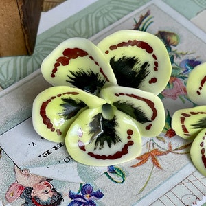May include: A yellow ceramic flower with brown and black painted details. The flower has five petals and a hole in the centre.