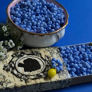 Viburnum Berries Beads, Berries, 4mm Tiny Blue Small NOS Shabby Cottage Chic Seed,Blue variegated berries,Picasso beads,