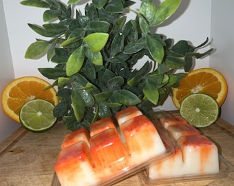 Mandarin Citrus Wax Melts With Orange Sparkles