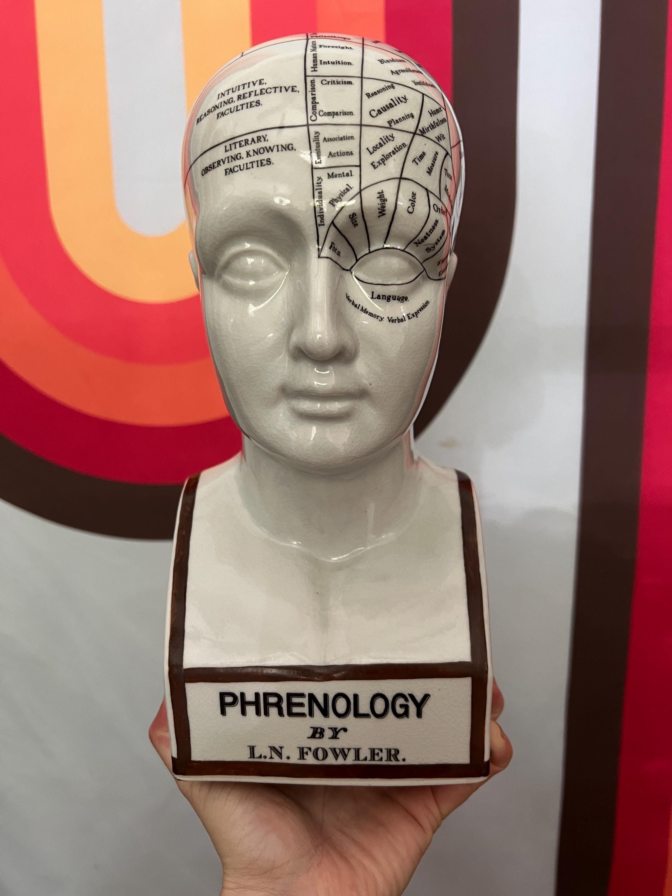 Phrenology Head Figurine - Etsy