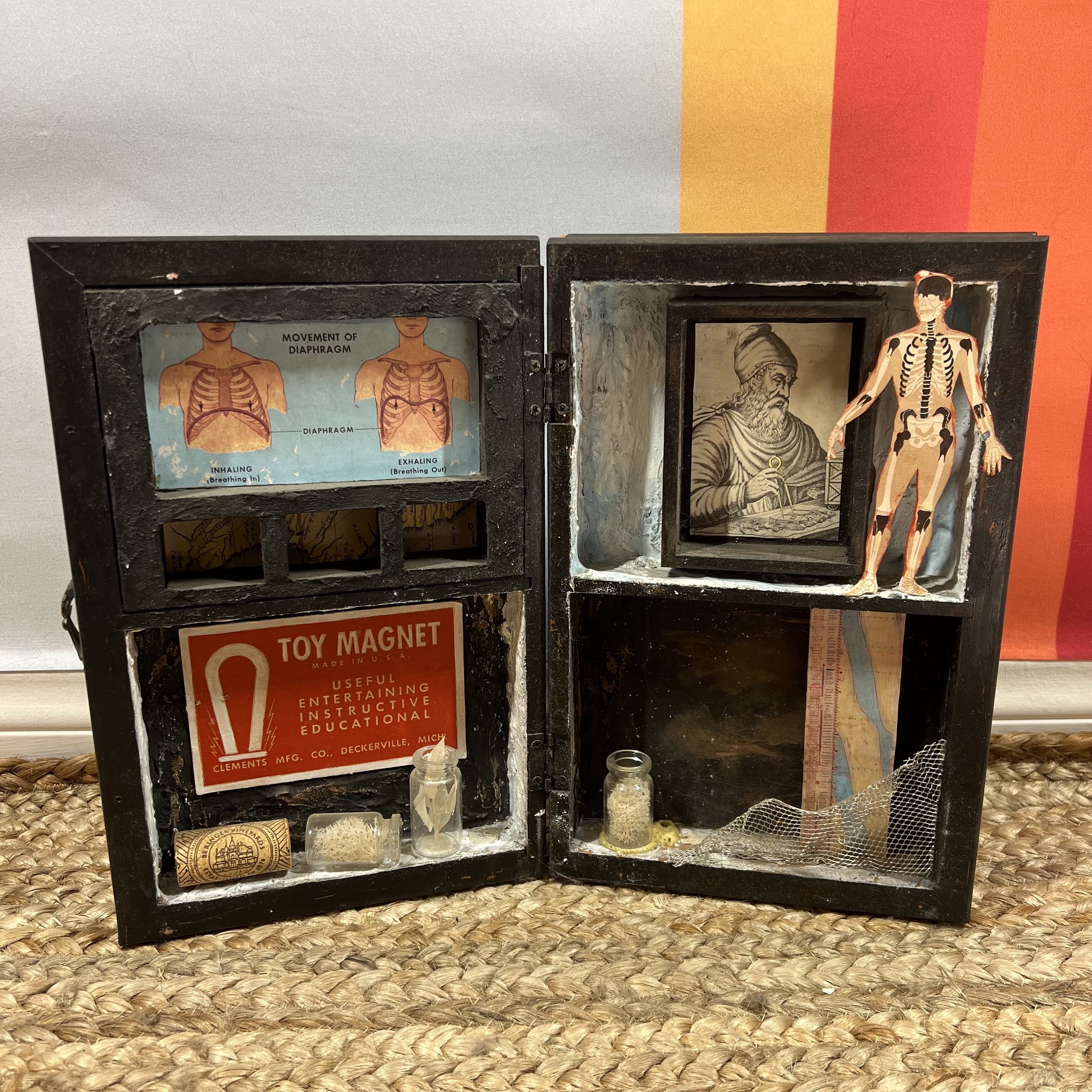 Handmade Cornell antique style anatomical science collage shadow box art