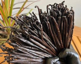 May include: A large bundle of dark brown vanilla beans, held in black gloves. The beans are arranged in a fan shape, with the tips pointing outwards.