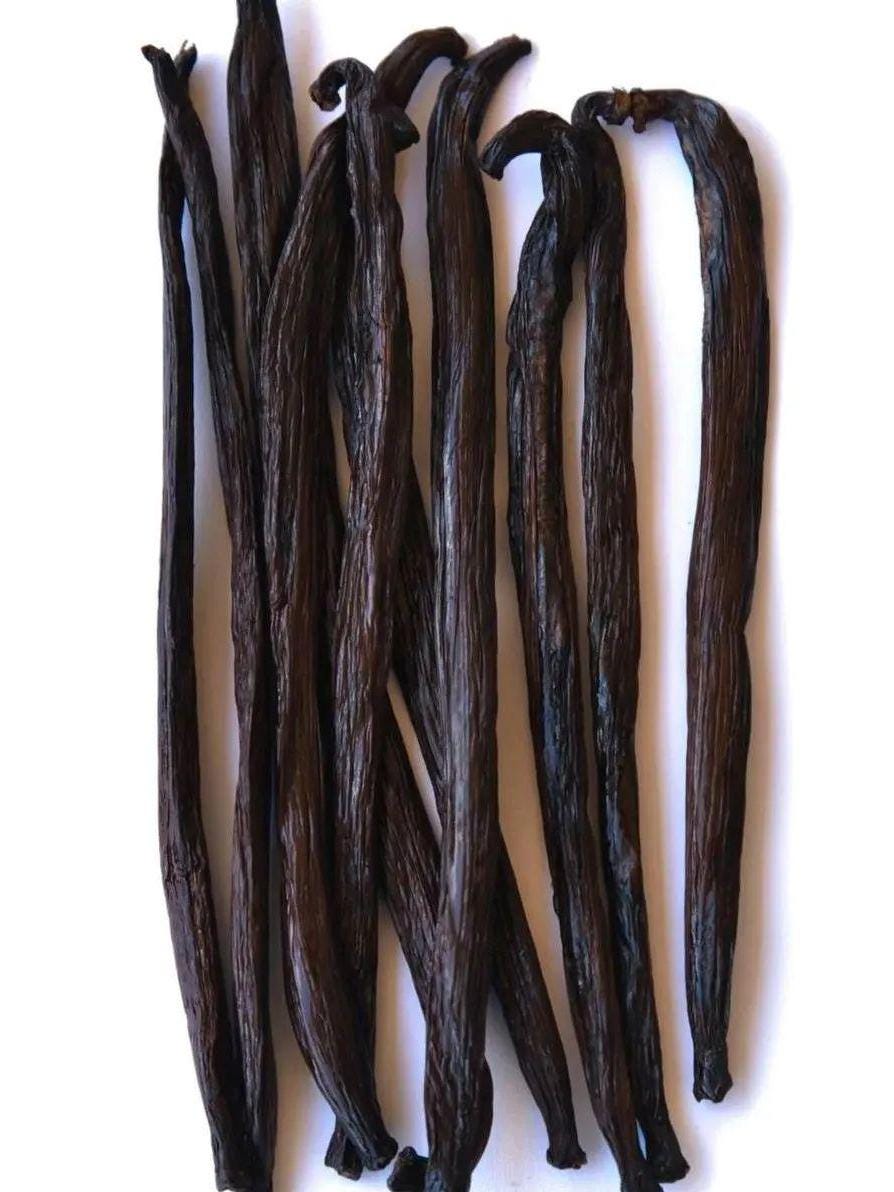 5 Baccelli Di Vaniglia Bourbon Gourmet XL - 15-18 Cm, Qualità Premium Da Sulawesi, Confezione Sottovuoto