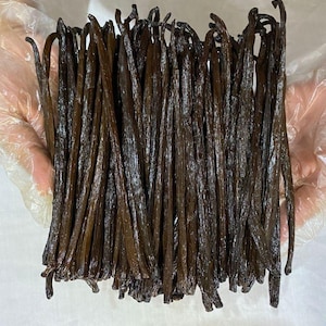 50 gr 14-16 cm Bourbon Vanilla Bean Gourmet Grade A for Luxury Desserts and Recipes