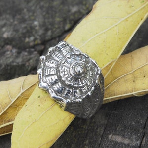 Peut inclure: Une bague en argent avec un motif de coquillage détaillé. La bague repose sur deux feuilles jaunes.