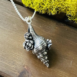 May include: A silver seashell pendant necklace with a detailed design. The seashell is adorned with small, textured flowers. The necklace is on a silver chain.