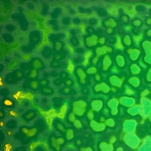 May include: A vibrant green surface featuring a repeating organic pattern of interconnected, amoeba-like shapes in varying shades of lime and forest green, with small, bright yellow accents scattered along the left side of the textured field.