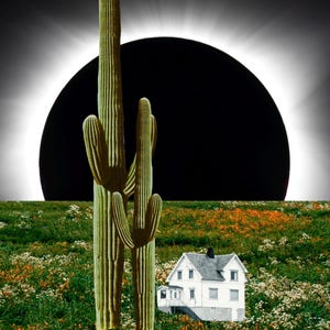 Pu&ograve; includere: Una casa bianca con un tetto nero si trova in un campo di erba verde e fiori bianchi. Due alti cactus verdi si trovano davanti alla casa. Un grande cerchio nero con un anello bianco intorno &egrave; sullo sfondo.