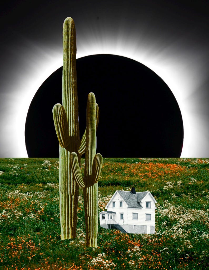 Pu&ograve; includere: Una casa bianca con un tetto nero si trova in un campo di erba verde e fiori bianchi. Due alti cactus verdi si trovano davanti alla casa. Un grande cerchio nero con un anello bianco intorno &egrave; sullo sfondo.