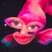 Corina Collins