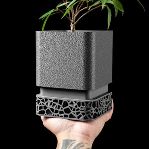 May include: A square dark grey planter with a textured surface and a separate base featuring an intricate, open-work geometric lattice pattern. The planter holds a small green plant with thin, pointed leaves, showcasing a modern, layered design.