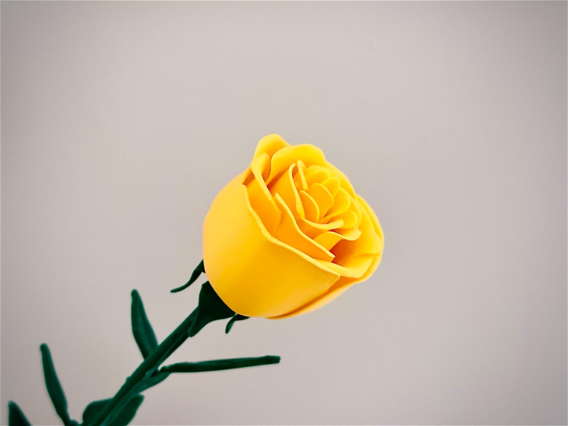 Rose Flower Planter Modern Minimalist PLA 3D Printed