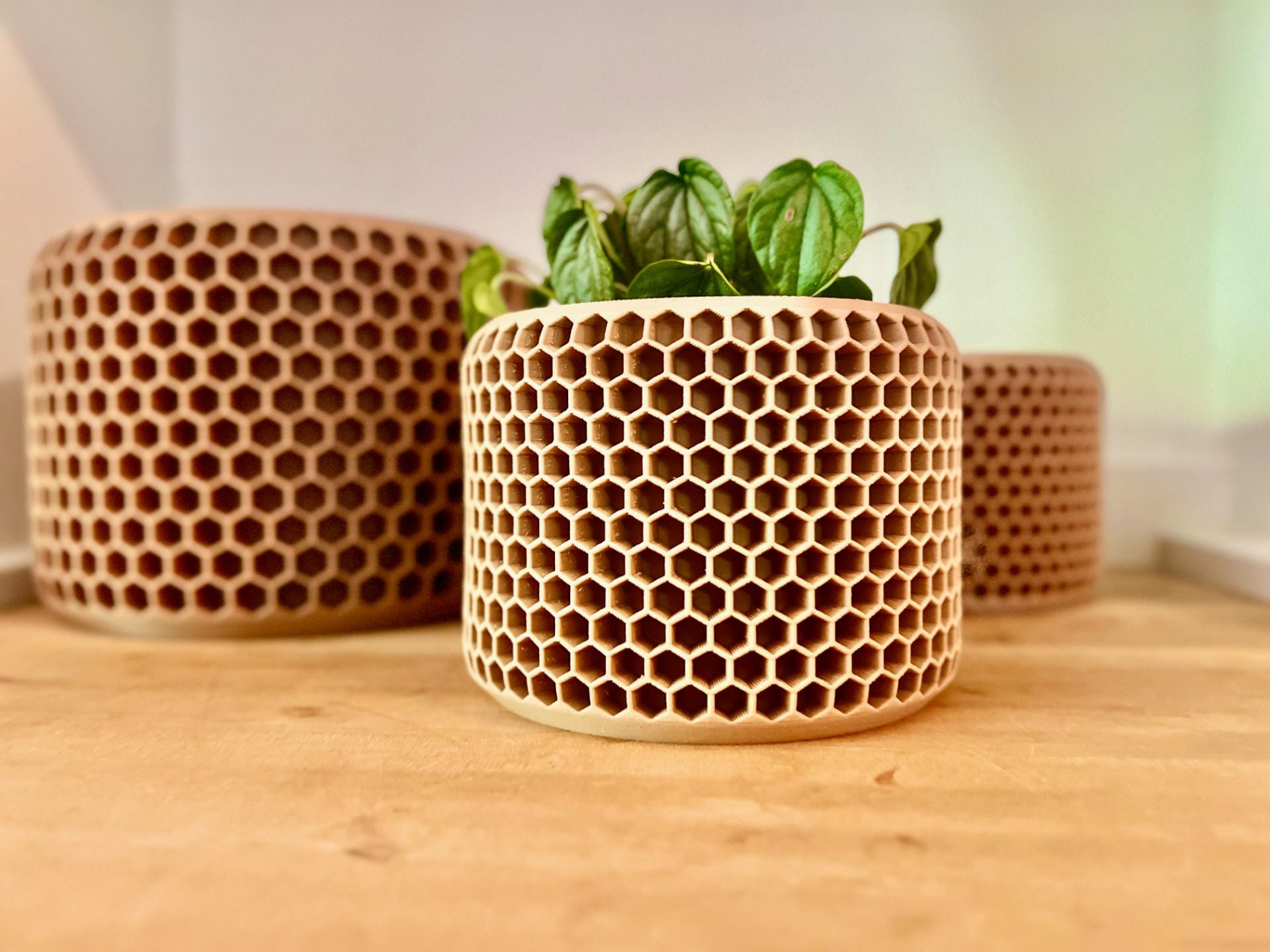 Honeycomb Planter, Hexagonal Plant Pot, Modern Home Decor, Geometric Planter, Succulent Display, Unique Gift