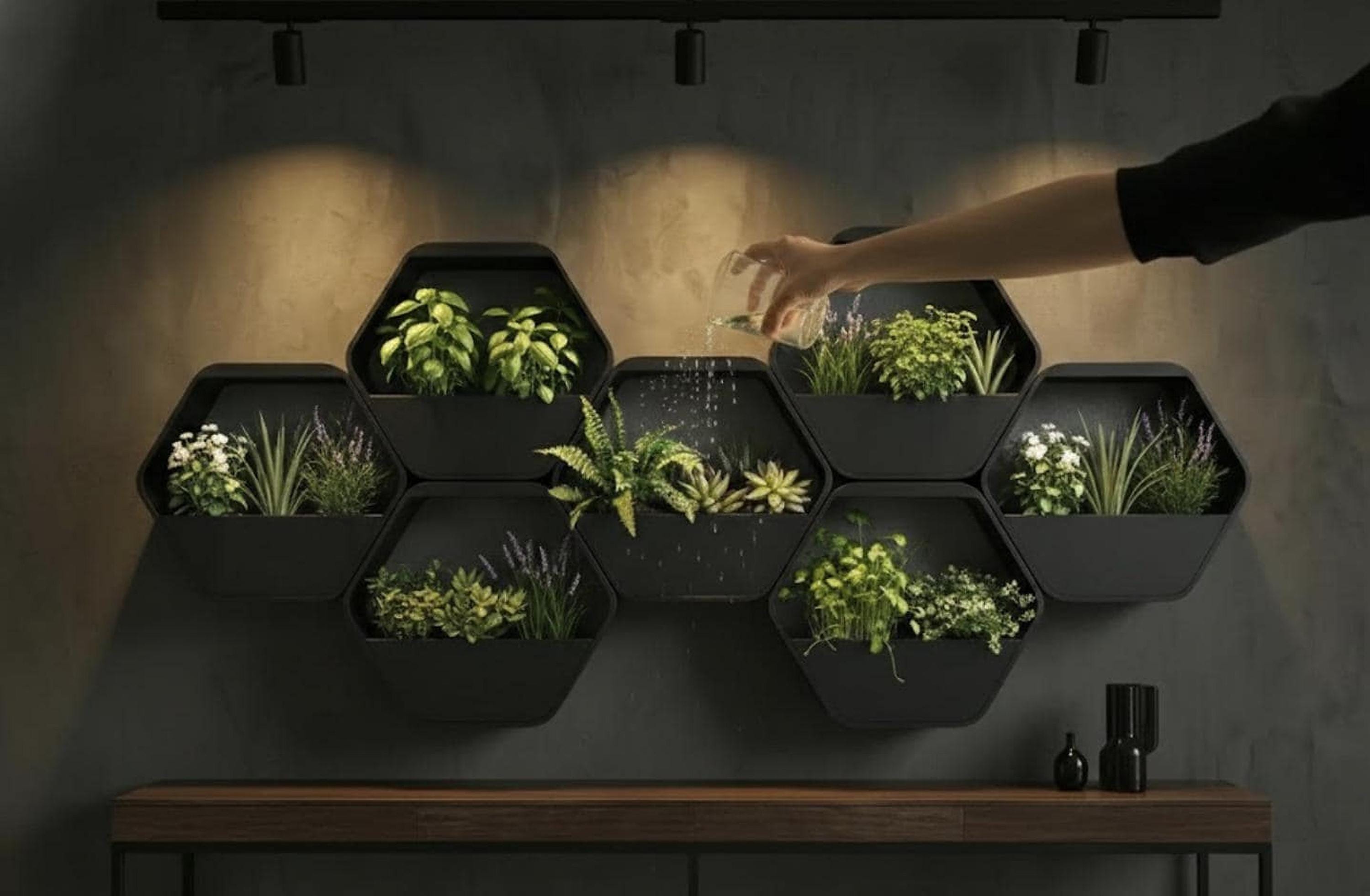 Wall Planter Hexagonal 3D Printed Modern Minimalist Home Decor