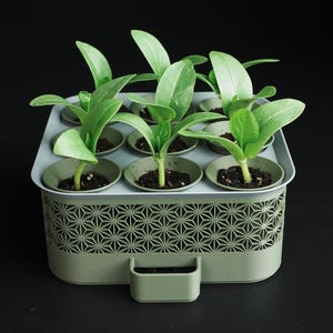 Puede incluir: Una maceta rectangular de color verde salvia con un patrón geométrico de celosía en los lados y una pequeña asa en la parte frontal. La maceta contiene nueve recipientes circulares individuales, cada uno con una planta verde en tierra.