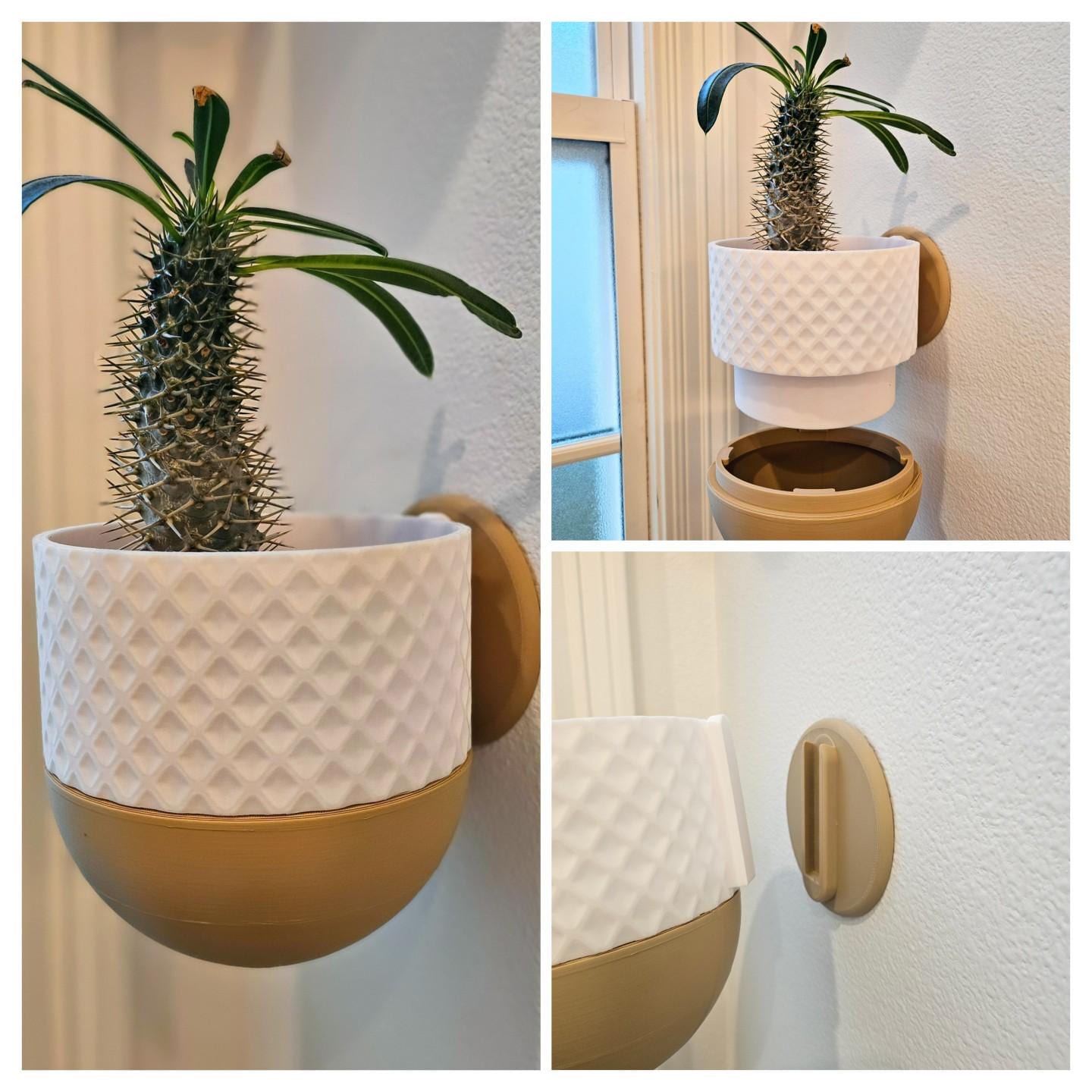Diamond Bowl Wall Planter, Hidden Drip Tray Planter, Modern Home Decor, Wall Mounted Planter, Unique Gift