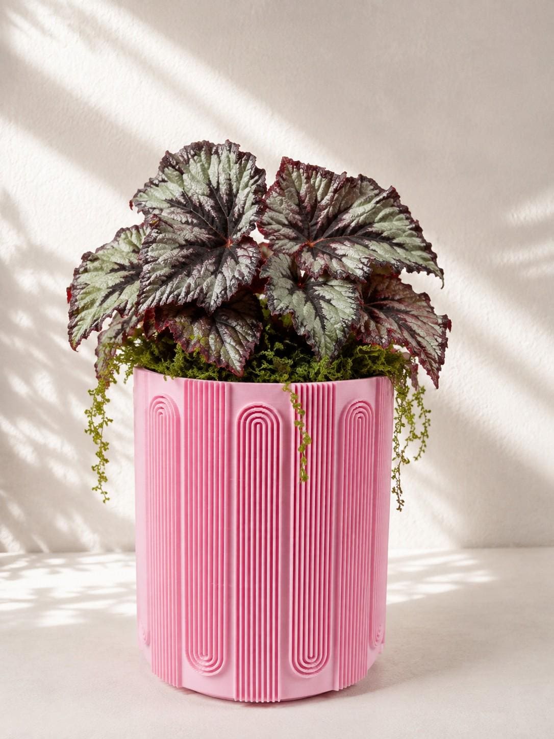 Arched Sculptural Planter, Arched Plant Pot, Modern Home Decor, Sculptural Planter, Unique Gift, Contemporary Decor