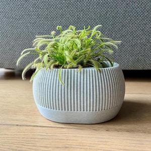 Pot à arrosage automatique, jardinière minimaliste imprimée en 3D, décoration intérieure