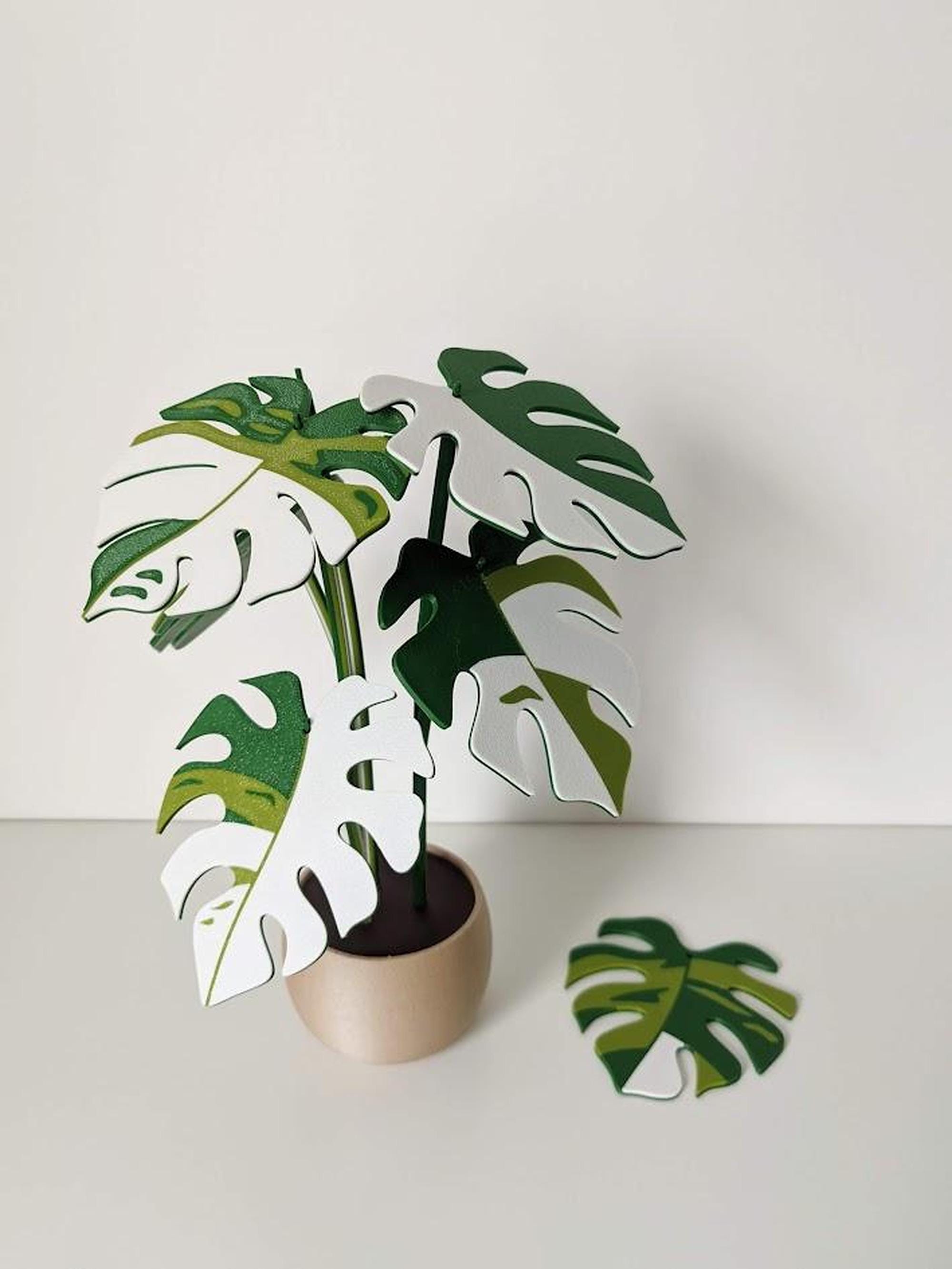 Plant Coasters, Minimalist Monstera Leaf Design, 3D Printed Set of 6