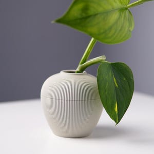 Jarrón de Propagación Minimalista, Soporte Hidropónico 3D para Plantas de Interior