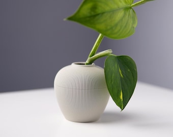 Propagation Vase, Minimalist Hydroponic Plant Holder, 3D Printed