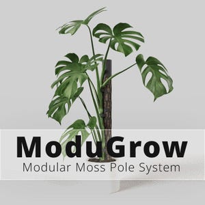 Peut inclure: Une plante Monstera verte soutenue par un système de tuteur en mousse modulaire vertical, texturé et brun foncé. Le texte ModuGrow Modular Moss Pole System est affiché en noir sur la partie inférieure de l'image sur un fond gris clair.