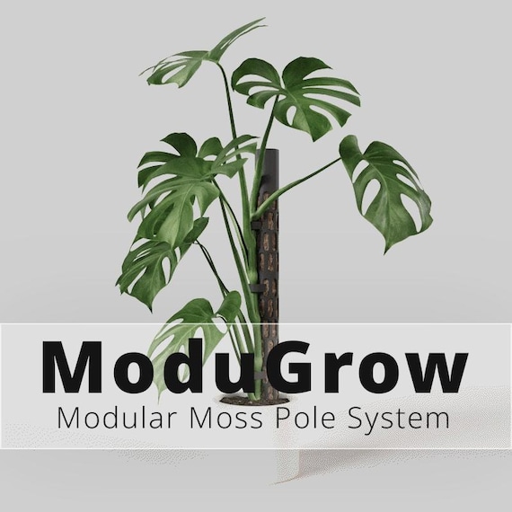 Modular Moss Pole - Self-Watering Plant Support, Modern Home Decor, Gift for Her, Perfect for Monstera