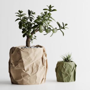 Succulent Planter Minimalist Geometric 3D Printed Plant Pot