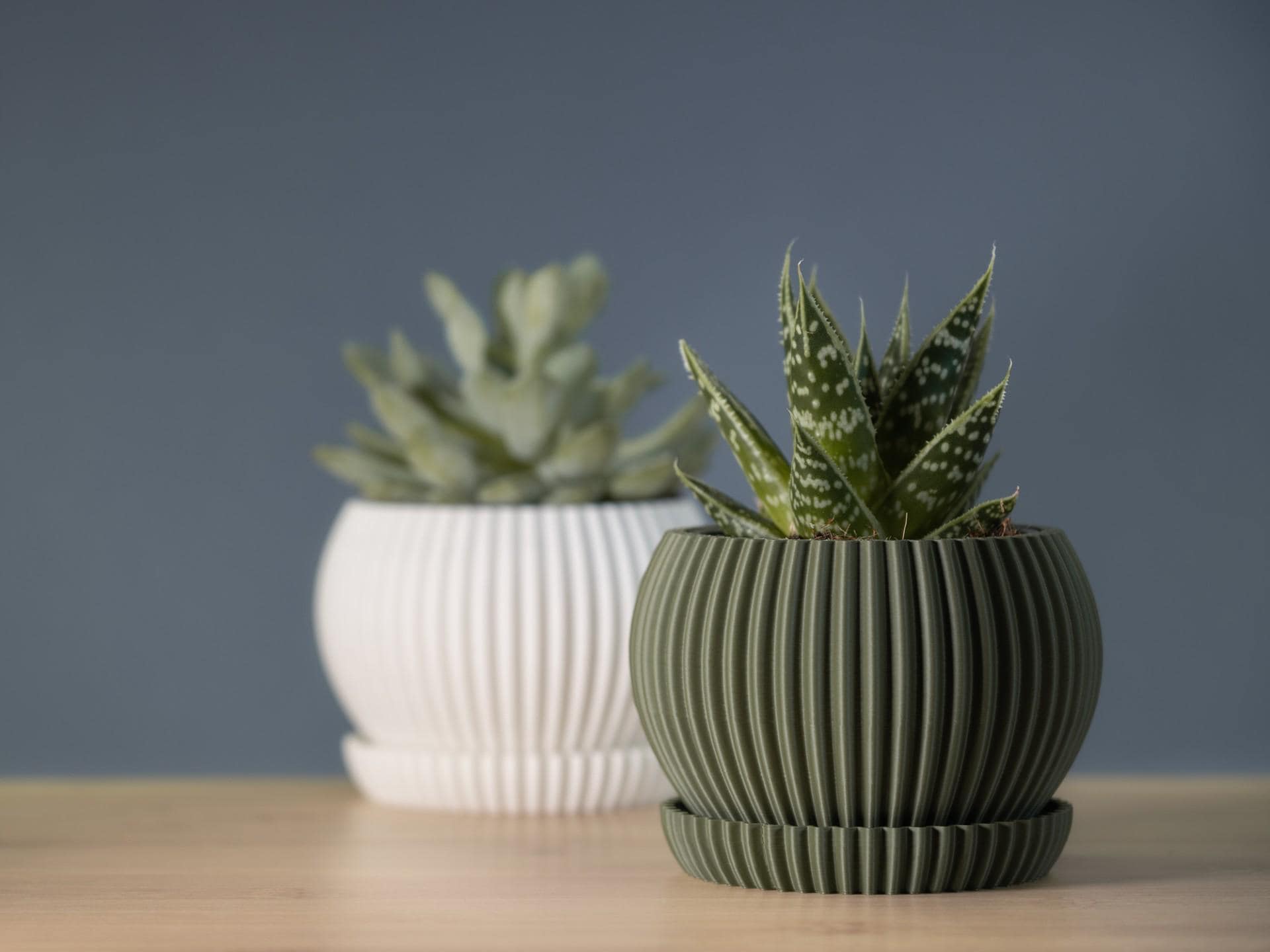 Flower Planter with Pot, Indoor Plant Pot with Saucer, Modern Home Decor, Plant Lover Gift, Succulent Pot, Unique Gift